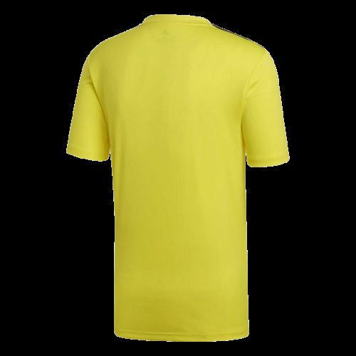 Maillot Campeon19