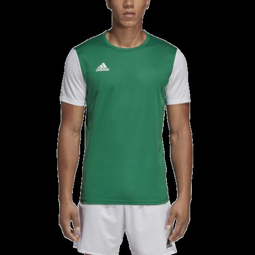 Maillot Vert/ Blanc Estro19