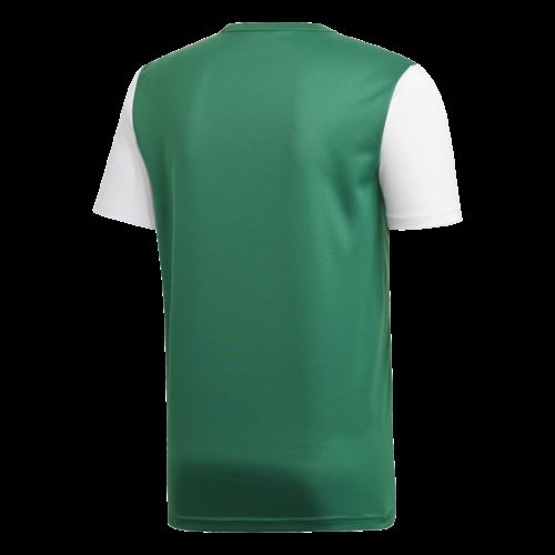 Maillot Vert/ Blanc Estro19