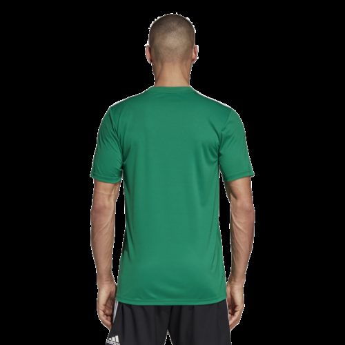 Maillot Vert Campeon19