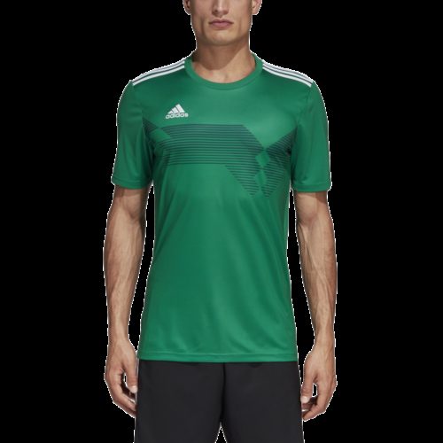 Maillot Vert Campeon19
