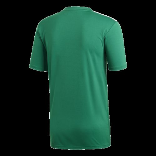 Maillot Vert Campeon19