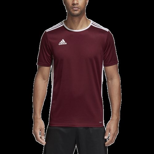 Maillot Bordeau/blanc Entrada 18