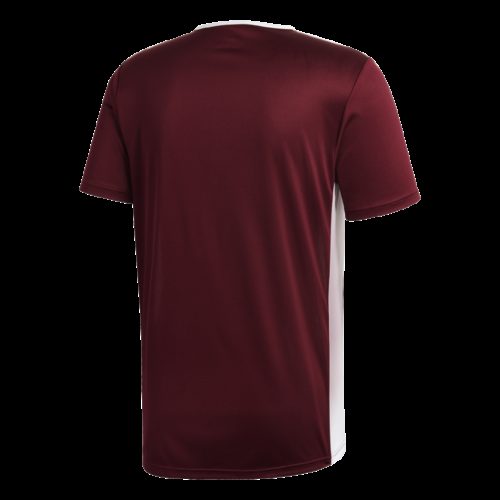 Maillot Bordeau/blanc Entrada 18