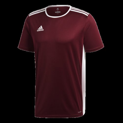 Maillot Bordeau/blanc Entrada 18