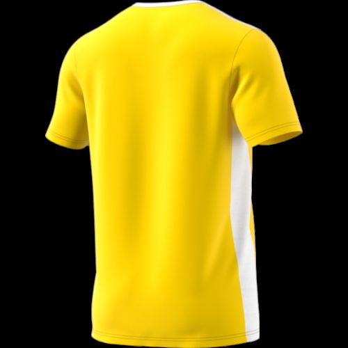 Maillot Jaune/blanc Entrada 18