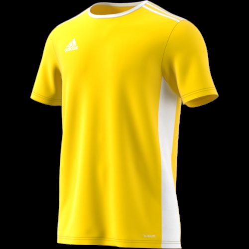 Maillot Jaune/blanc Entrada 18