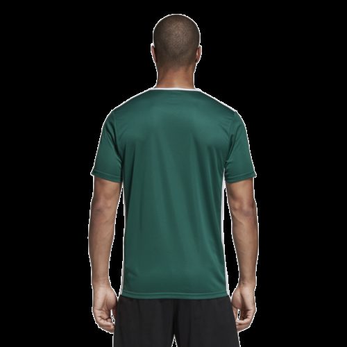 Maillot Vert/blanc Entrada 18