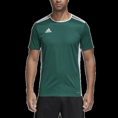 Maillot Vert/blanc Entrada 18