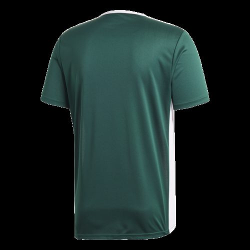 Maillot Vert/blanc Entrada 18