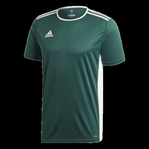 Maillot Vert/blanc Entrada 18