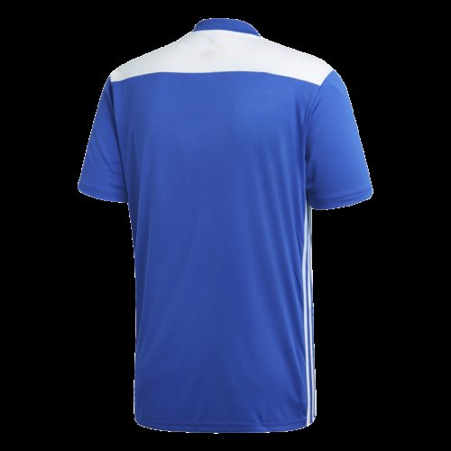 Maillot Bleu Royal/blanc Regista 18