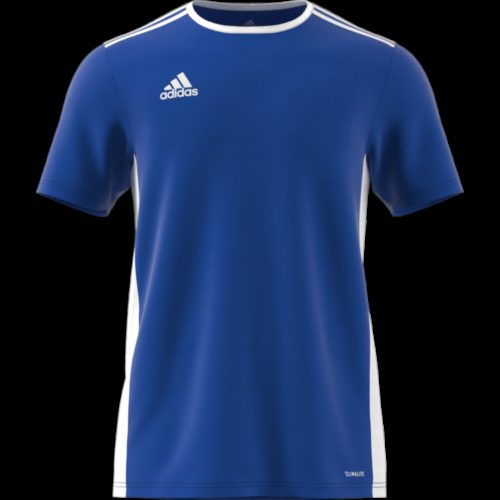 Maillot Bleu Entrada18
