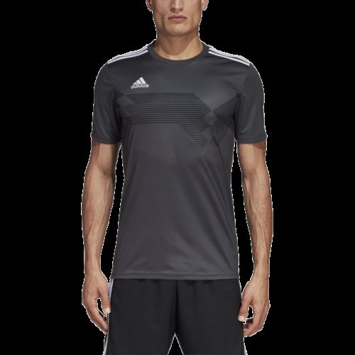 Maillot Gris Campeon19
