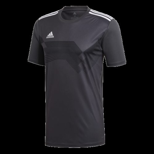 Maillot Gris Campeon19