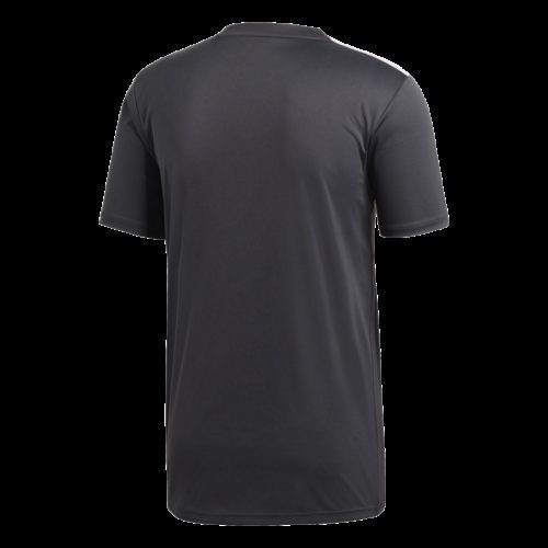 Maillot Gris Campeon19