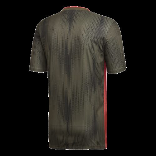 Maillot Gris Tiro19