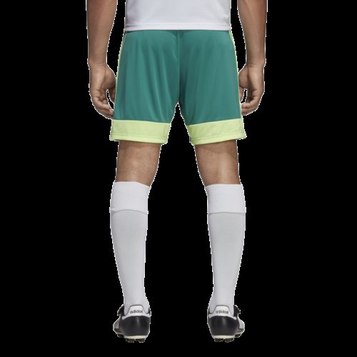 Short Vert Tastigo19