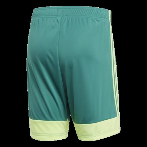 Short Vert Tastigo19