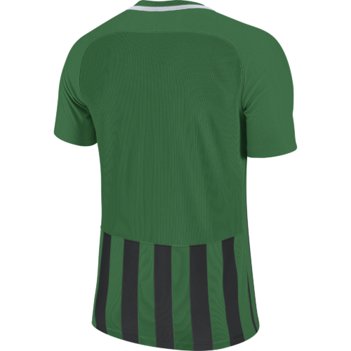 Maillot noir/vert Striped Division