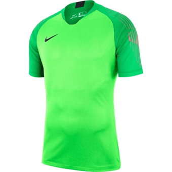 Maillot gardien vert Park