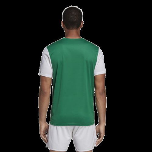 Maillot Vert/ Blanc Estro19