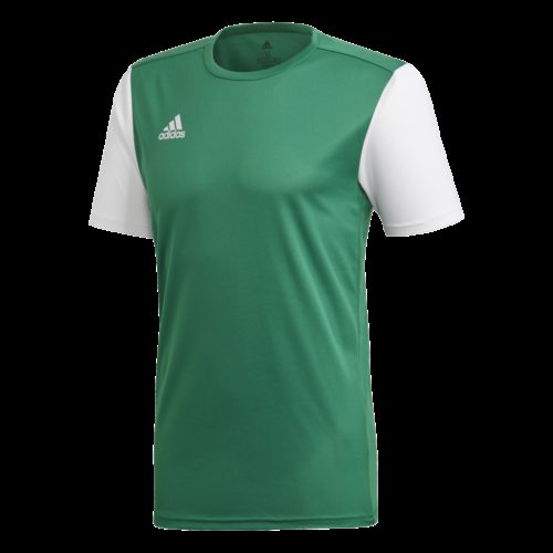 Maillot Vert/ Blanc Estro19