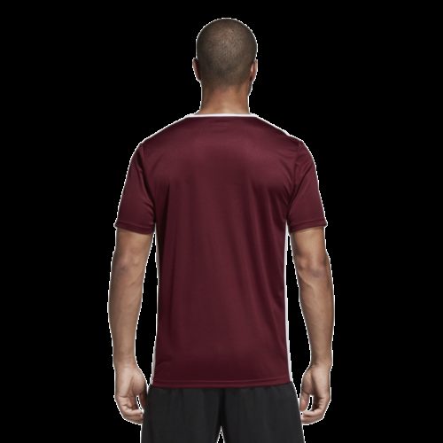 Maillot Bordeau/blanc Entrada 18