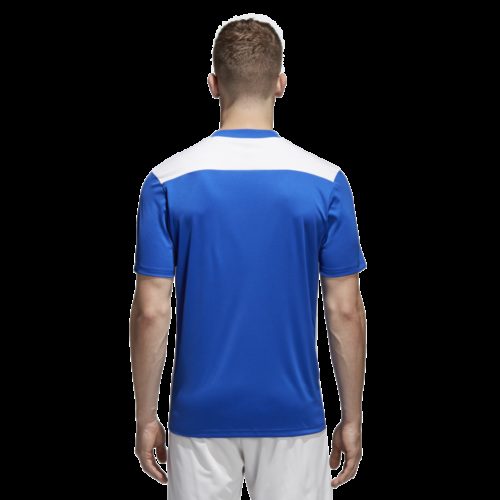 Maillot Bleu Royal/blanc Regista 18