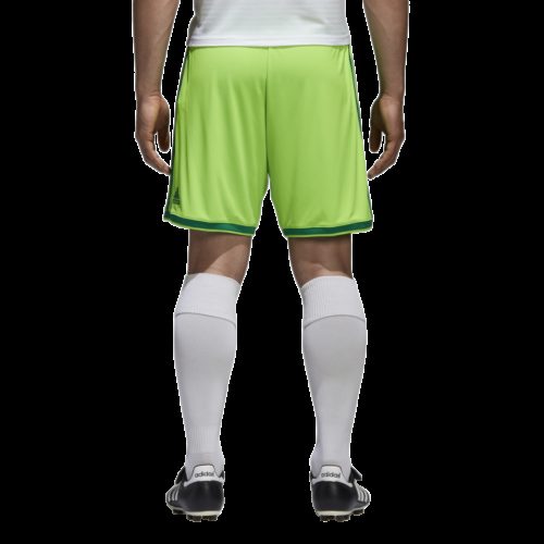 Short Vert Fluo Regista 18